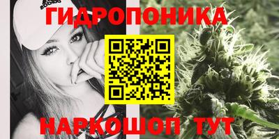 Альфа ПВП Кунгур