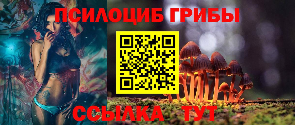 Галлюциногенные грибы мицелий Киселёвск