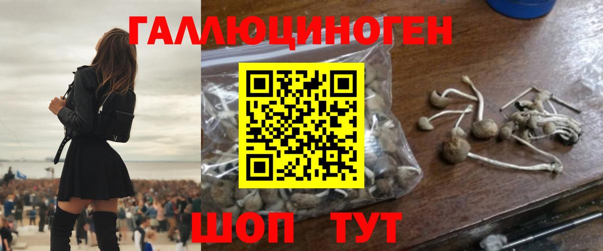 A-PVP Киселёвск